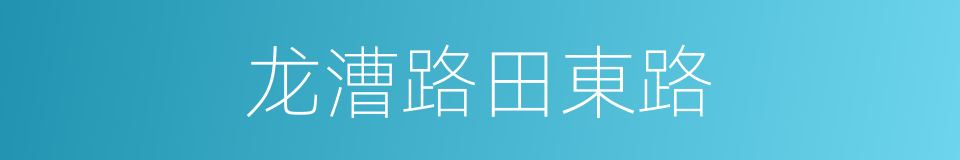 龙漕路田東路的同義詞