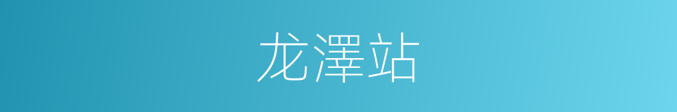 龙澤站的同義詞