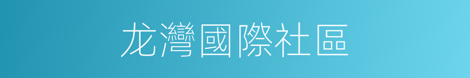 龙灣國際社區的同義詞