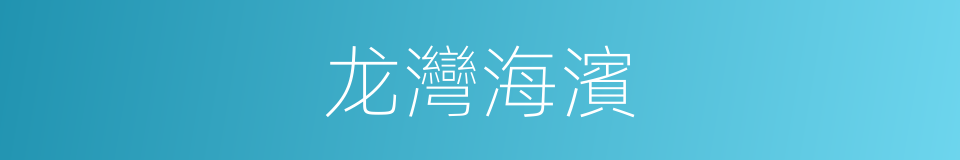 龙灣海濱的同義詞