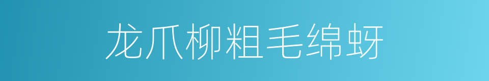 龙爪柳粗毛绵蚜的同义词