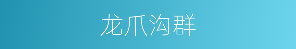 龙爪沟群的同义词