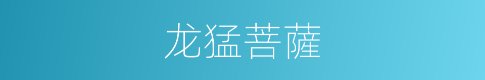 龙猛菩薩的同義詞