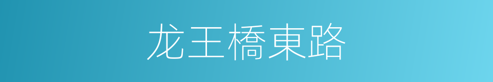 龙王橋東路的同義詞