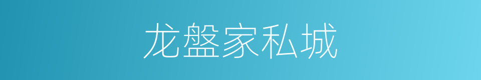 龙盤家私城的同義詞