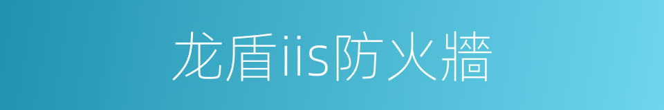 龙盾iis防火牆的同義詞
