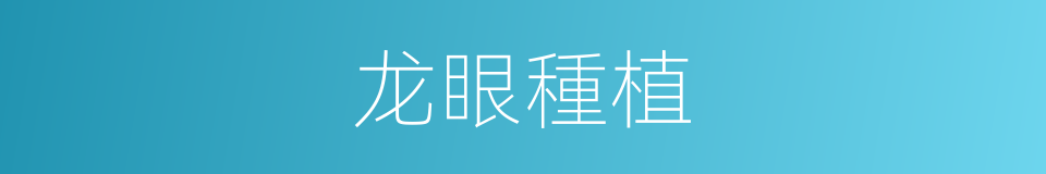 龙眼種植的同義詞