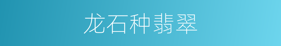 龙石种翡翠的同义词
