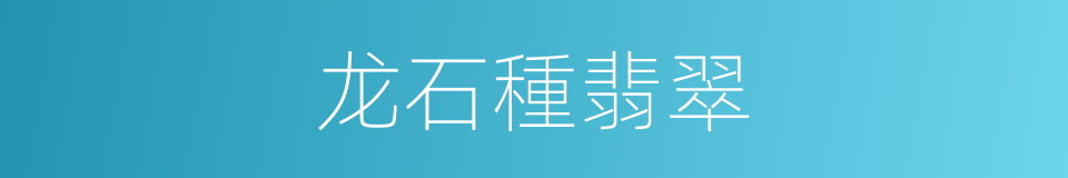 龙石種翡翠的同義詞