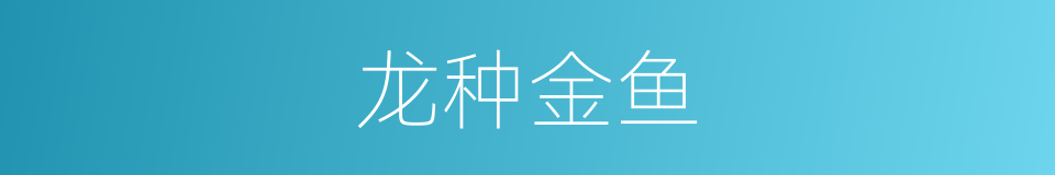 龙种金鱼的同义词
