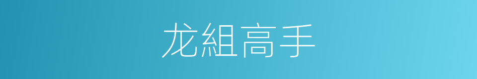龙組高手的同義詞