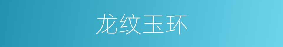 龙纹玉环的同义词