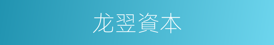 龙翌資本的同義詞