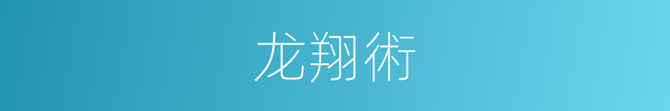 龙翔術的同義詞