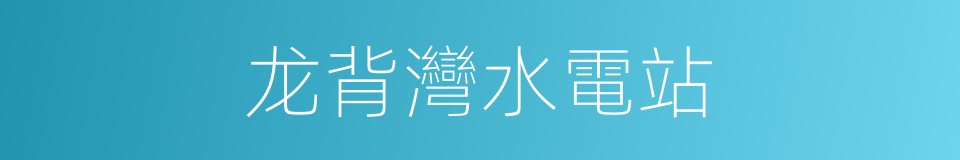 龙背灣水電站的同義詞