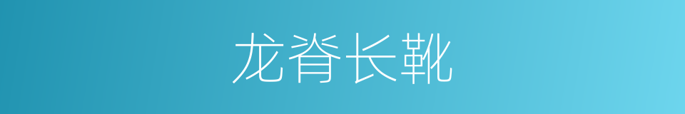 龙脊长靴的同義詞