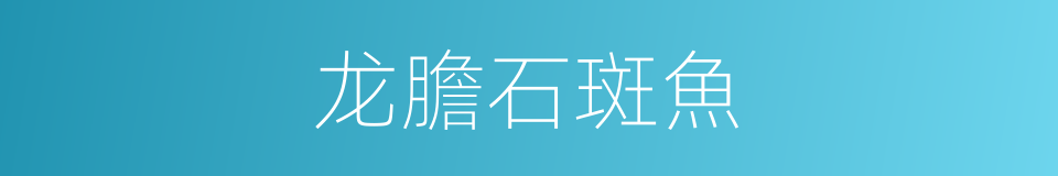 龙膽石斑魚的同義詞