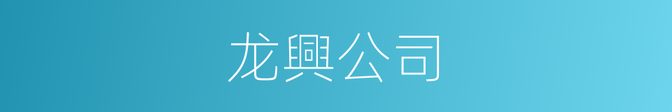 龙興公司的同義詞