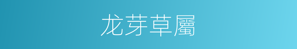 龙芽草屬的同義詞