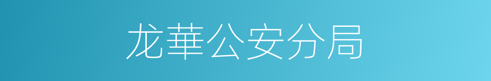 龙華公安分局的同義詞