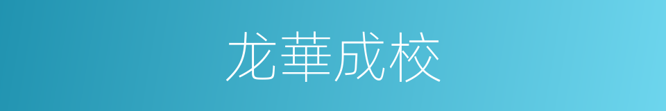 龙華成校的同義詞