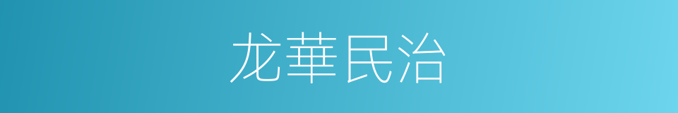 龙華民治的同義詞