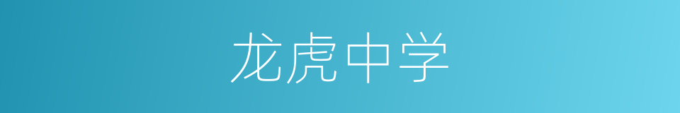 龙虎中学的同义词