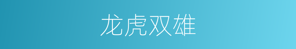 龙虎双雄的同义词