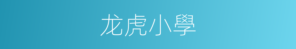 龙虎小學的同義詞