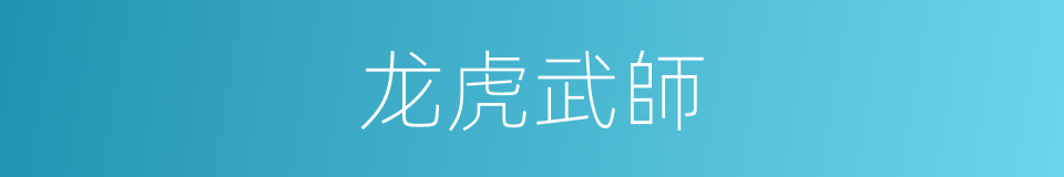 龙虎武師的同義詞