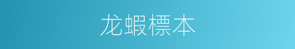 龙蝦標本的同義詞