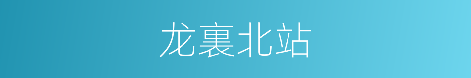 龙裏北站的同義詞