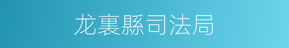 龙裏縣司法局的同義詞