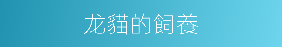 龙貓的飼養的同義詞