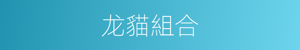 龙貓組合的同義詞