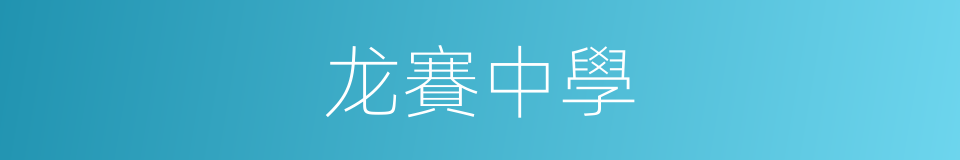 龙賽中學的同義詞