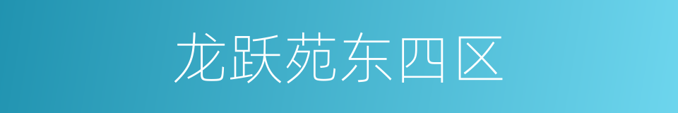 龙跃苑东四区的同义词