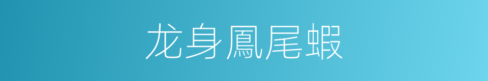 龙身鳳尾蝦的同義詞