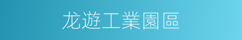 龙遊工業園區的同義詞