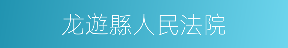 龙遊縣人民法院的同義詞