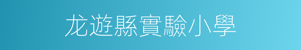 龙遊縣實驗小學的同義詞