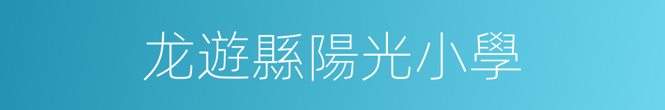 龙遊縣陽光小學的同義詞