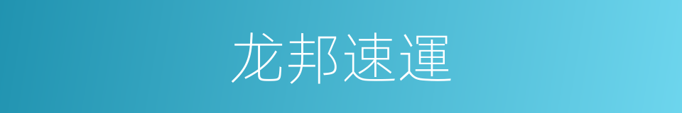 龙邦速運的同義詞