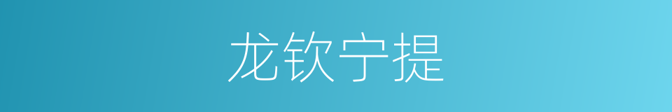 龙钦宁提的同义词