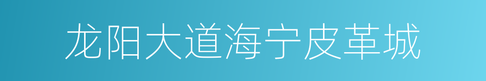 龙阳大道海宁皮革城的同义词