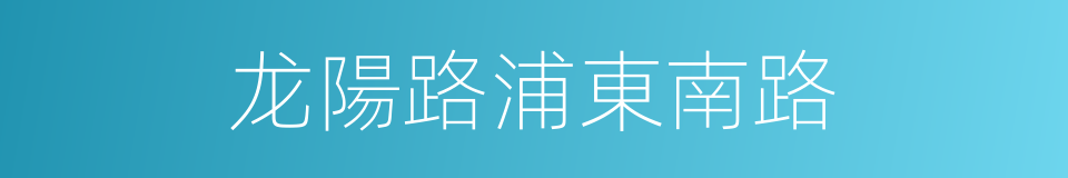 龙陽路浦東南路的同義詞