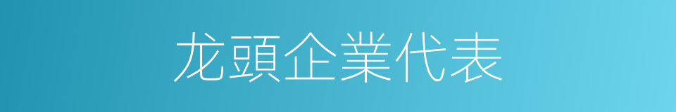 龙頭企業代表的同義詞