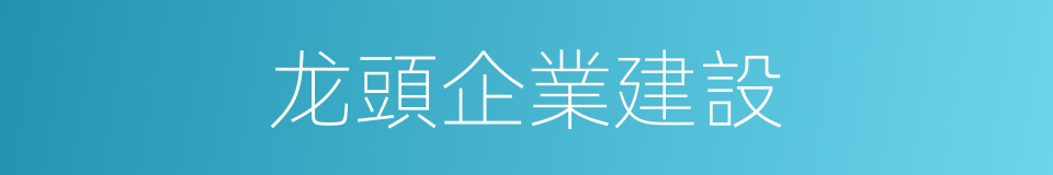 龙頭企業建設的同義詞