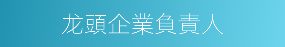 龙頭企業負責人的同義詞