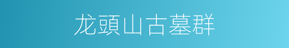 龙頭山古墓群的同義詞